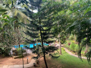 Tranquil Stay - Palolem Beach